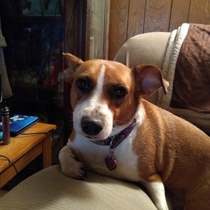 Meet your Posher, James